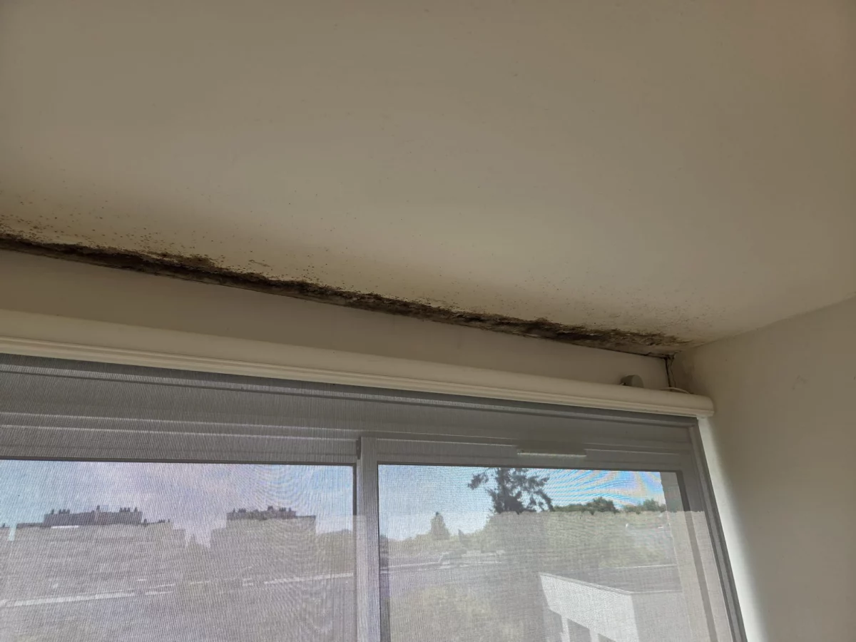 Accueil 10 Plafond au-dessus de la fenêtre avant le nettoyage à Villejean